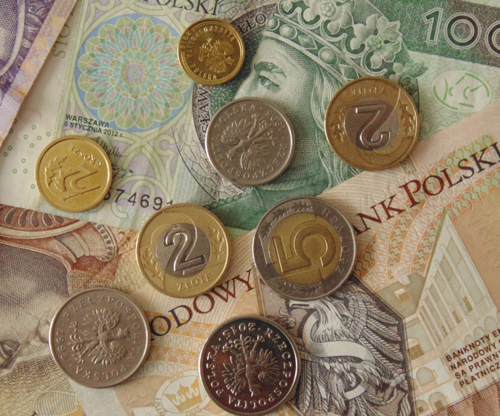 Masz banknot 10 zł? Możesz być milionerem. Sprawdź, czy masz ten jeden szczegół