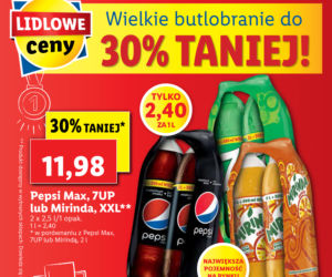 Promocje w Lidlu do środy 4.08