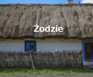 Żodzie