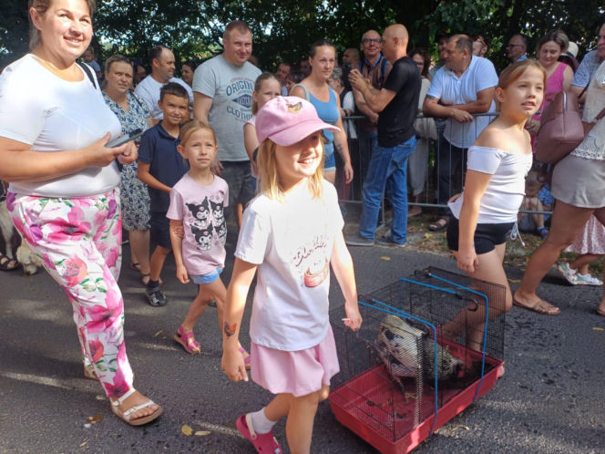 Święcenie zwierząt u św. Rocha 2026