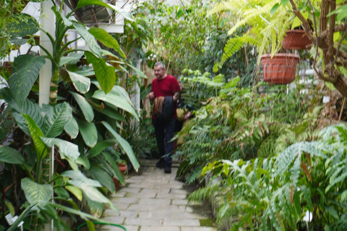 Ogród Botaniczny w Lublinie