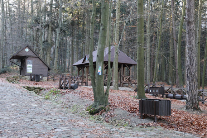 Nowa brama do królestwa Łysicy. Inwestycja w Świętej Katarzynie podnosi standardy turystyki w ŚPN