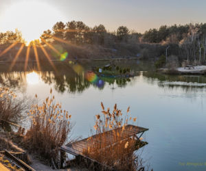 Gdzie na ryby w świętokrzyskim? Zbiornik Bilówka to coś więcej niż wędkarstwo