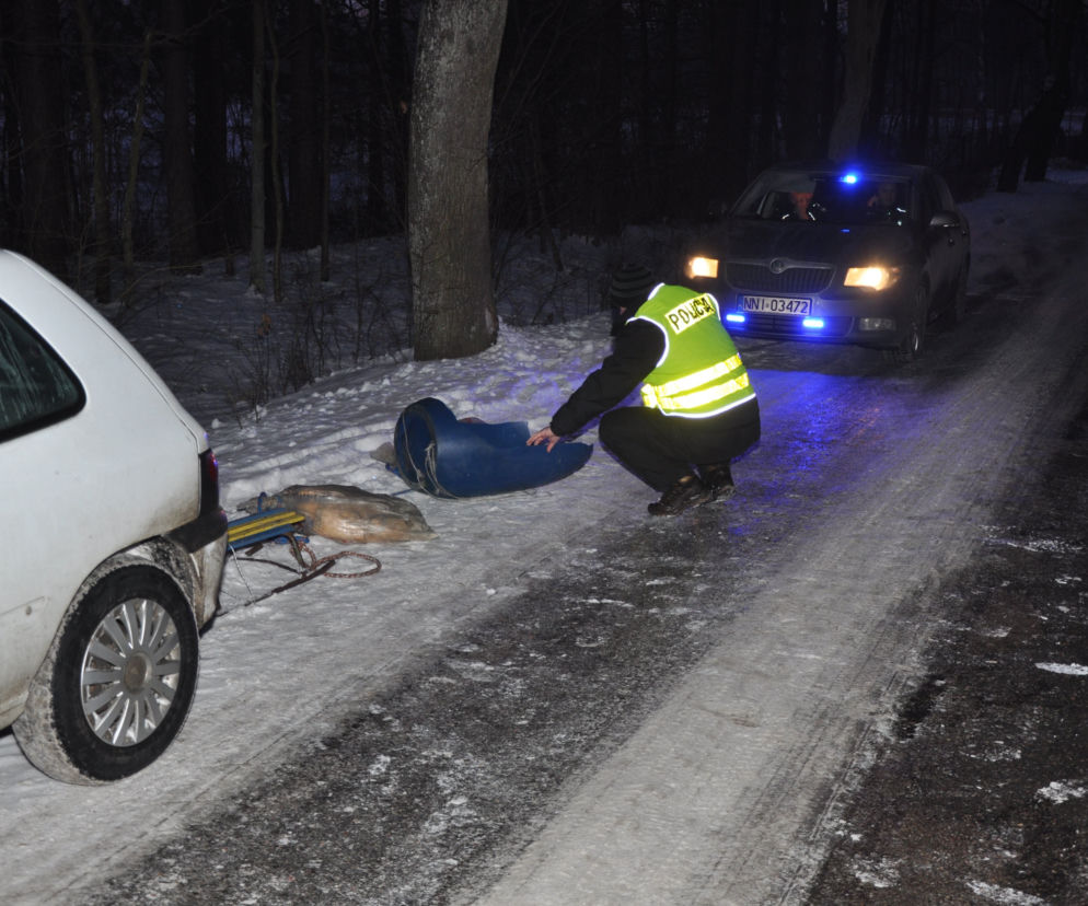 Dramatyczny finał kuligu pod Elblągiem. Dwie nastolatki trafiły do szpitala po zderzeniu z drzewem