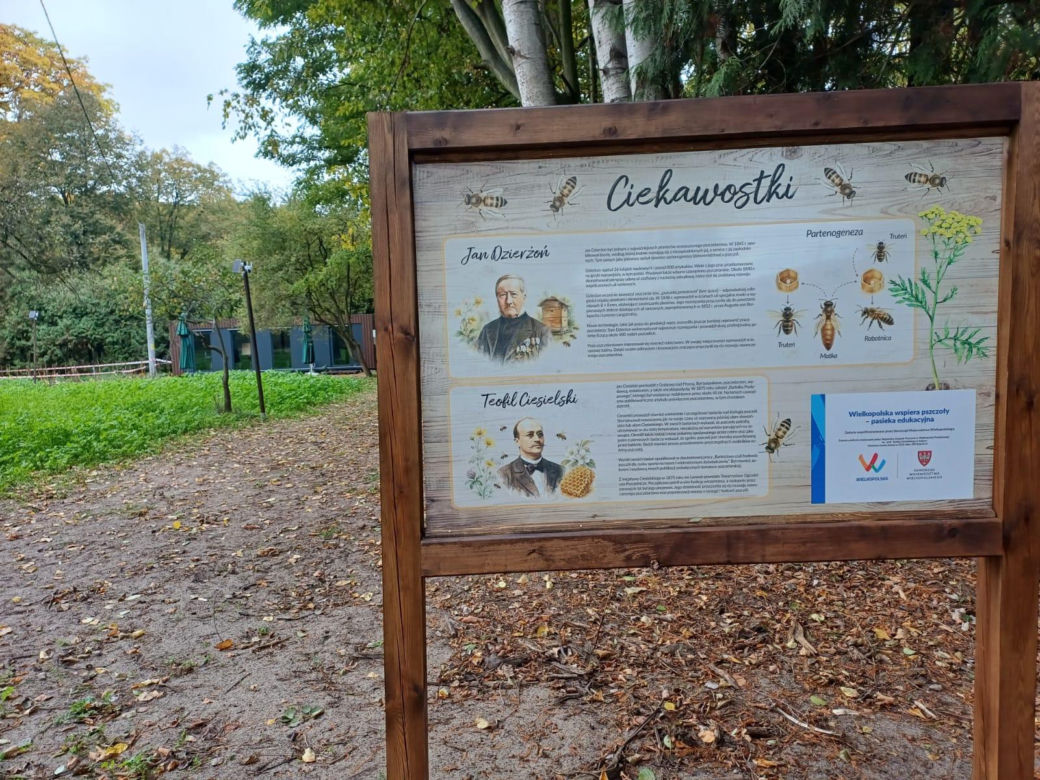 Pasieka Edukacyjna Ostrzeszów