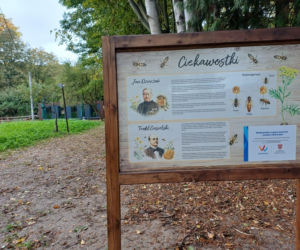 Pasieka Edukacyjna Ostrzeszów