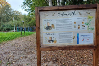 Pasieka Edukacyjna Ostrzeszów