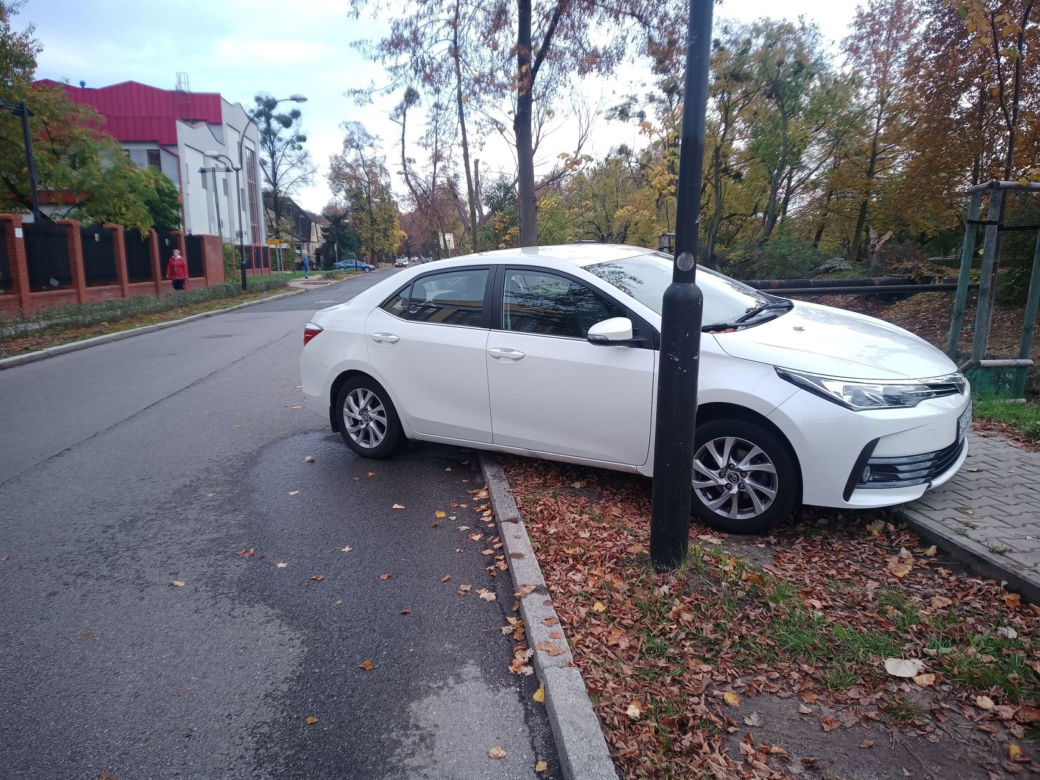 Mistrzowie parkowania w Gliwicach