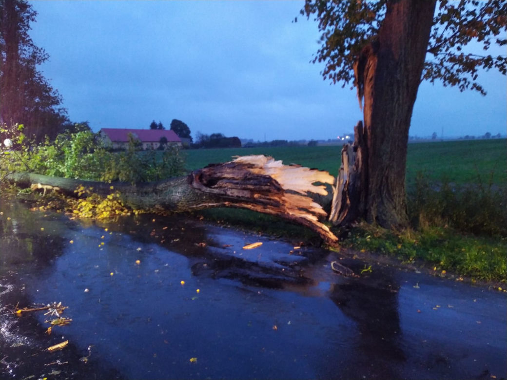 Interwencje strażaków z Grudziądza