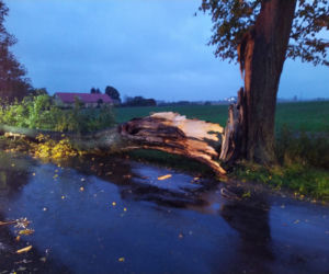 Interwencje strażaków z Grudziądza