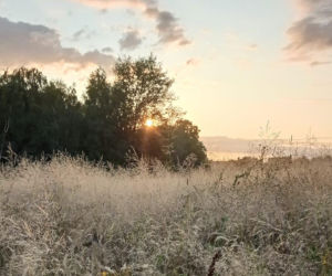 Woda, ogień, ziemia i powietrze. Kobiety będą świętować Noc Żywiołów