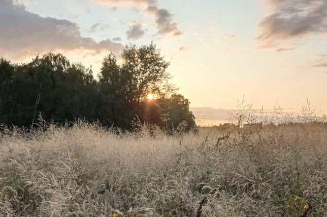 Woda, ogień, ziemia i powietrze. Kobiety będą świętować Noc Żywiołów