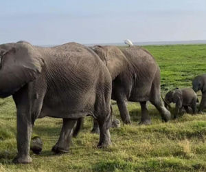 Michał Kassin z chłopakiem na egzotycznych wakacjach w Afryce. Tacy to pożyją?