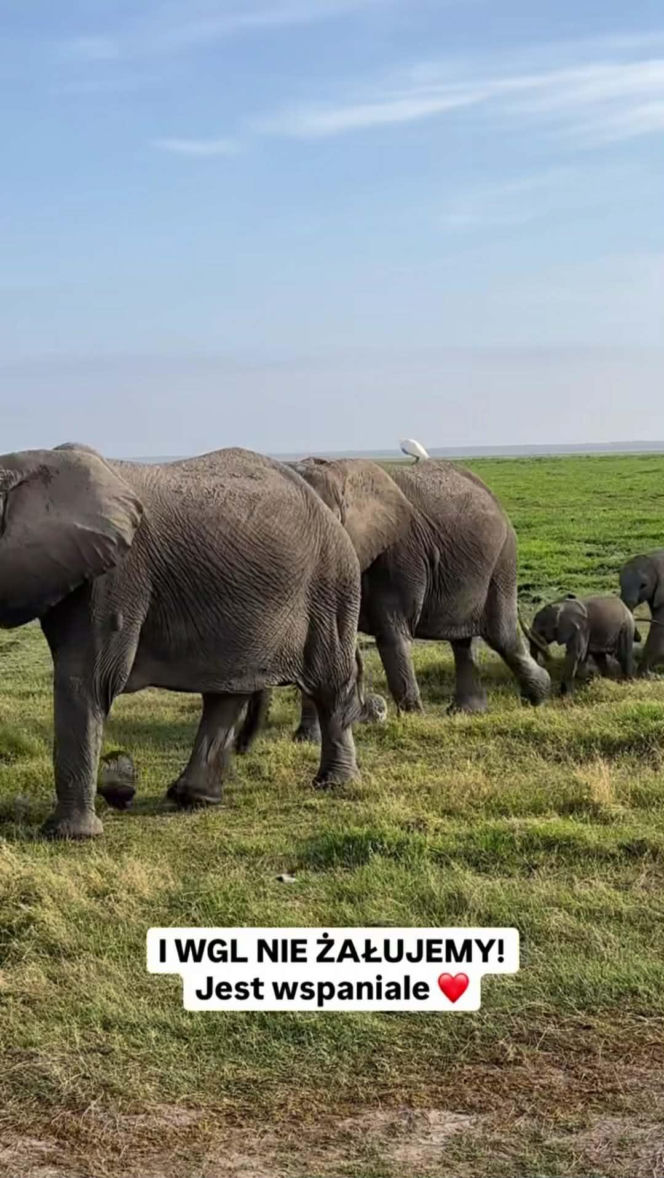 Michał Kassin z chłopakiem na egzotycznych wakacjach w Afryce. Tacy to pożyją?