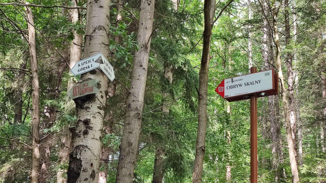 Obryw Skalny w Bardzie. Tutaj widoki zapierają dech w piersiach 