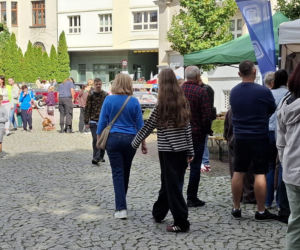 Najkrótsza uliczka w Kaliszu świętuje! Święto Ulicy Niecałej