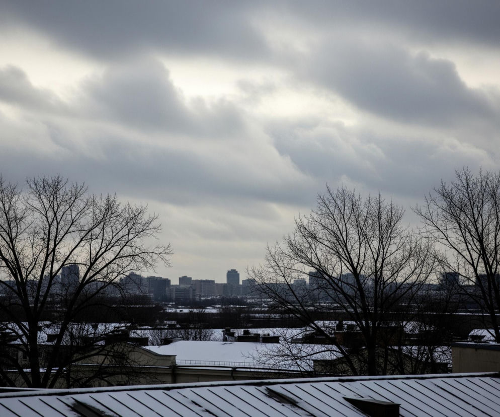 Ponadśnieżny krajobraz miejski, sfotografowany pod pochmurnym, szarym niebem, z trzema dużymi, nagimi drzewami na pierwszym planie. Ciemne sylwetki budynków i płaskich, ośnieżonych dachów rozciągają się w tle, a horyzont zdominowany jest przez szereg wieżowców. Dominują szare i ciemne odcienie, z białym śniegiem pokrywającym niższe obszary, co kontrastuje z ponurym niebem.