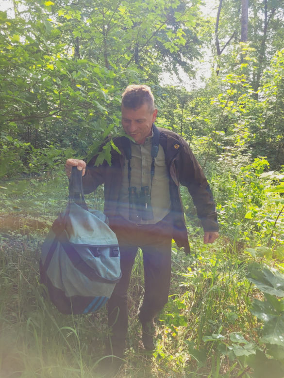 Trojaczki bielika zostały zaobrączkowane