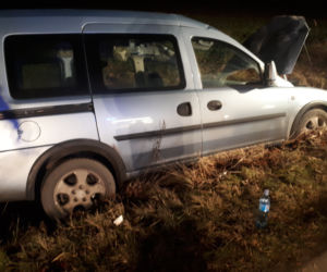 Łódzkie: Potężny ŁOŚ wbiegł wprost pod auto! Dramatyczne skutki zderzenia