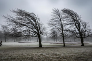 Pogoda Gniezno 20.11.2025. Czy zima zaatakuje już dziś?