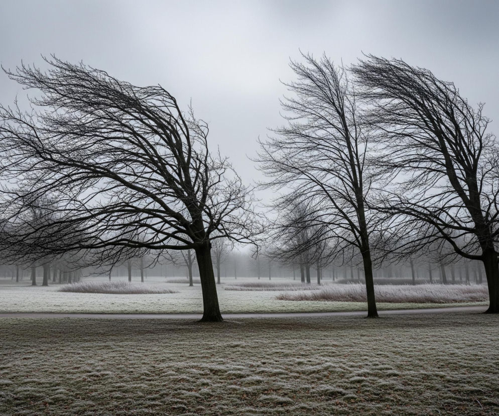 Dwa duże, bezlistne drzewa dominują w centrum obrazu, ich ciemne gałęzie rozciągają się w lewo, sprawiając wrażenie uginających się pod wpływem wiatru. Po lewej stronie, na pierwszym planie, wąska droga asfaltowa biegnie łukiem w prawą stronę, a wzdłuż niej idzie postać w jasnej kurtce i czarnych spodniach, z plecakiem na ramionach. Trawa na całym terenie pokryta jest szronem, co nadaje jej jasnoszary, mroźny wygląd, a w tle widać więcej podobnych, bezlistnych drzew w gęstej mgle, która rozmywa horyzont w szarym, jednolitym niebie.