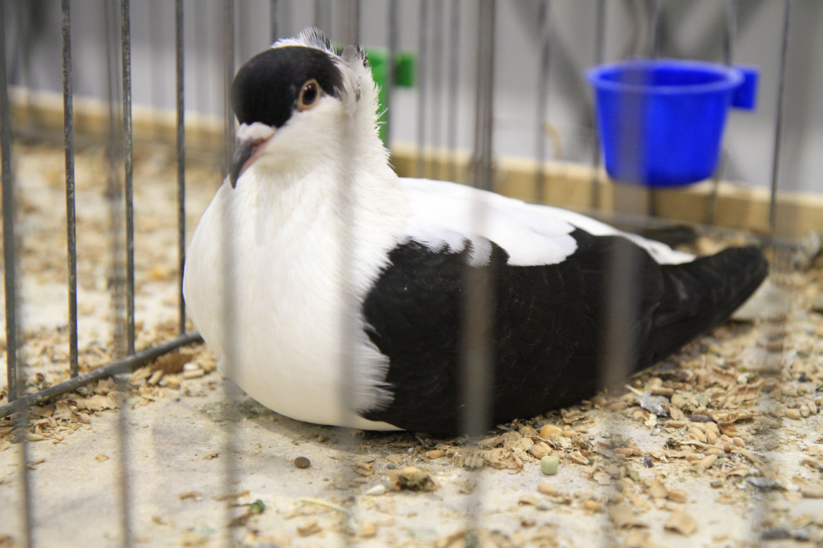 ZooPark 2023 w Lublinie przyciągnął tłumy!