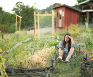 Domowe sposoby w ogrodzie – co działa, a co szkodzi roślinom