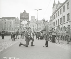 Wrocławski rynek