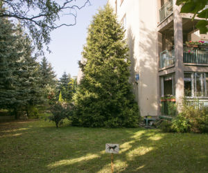 Nowy sposób złodziei na sprawdzanie mieszkań przed rabunkiem