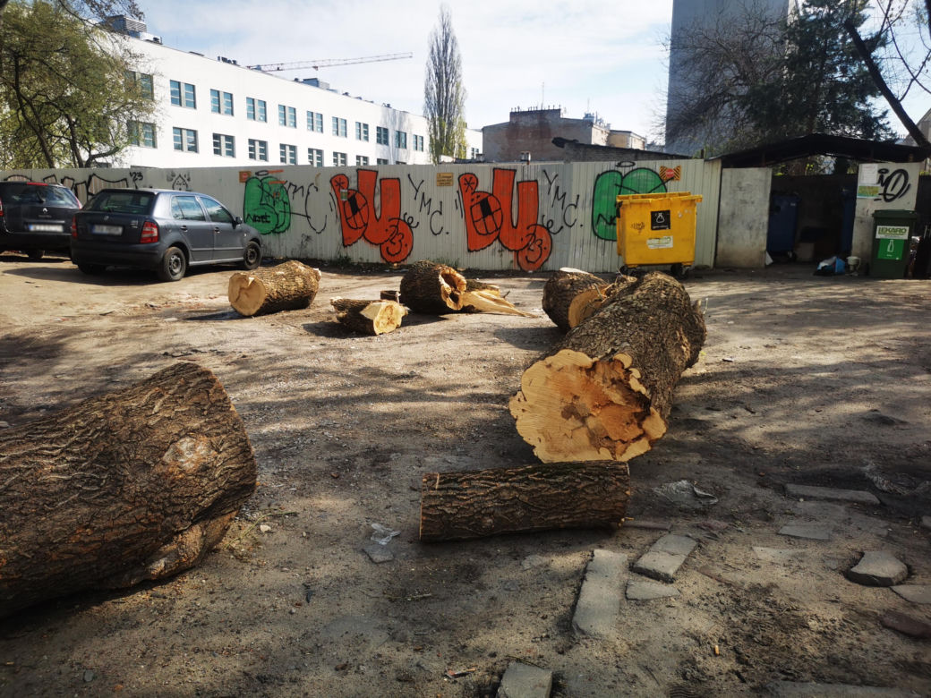 Kłody zamiast słupków na nielegalnym parkingu