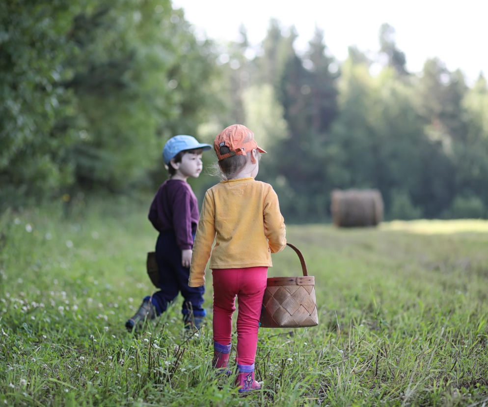 Kleszcz wbił się w skórę dziecka? Nie smaruj go tłuszczem ani alkoholem. Zrób to inaczej