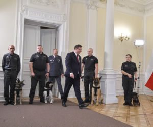 Służby więzienne z psami
