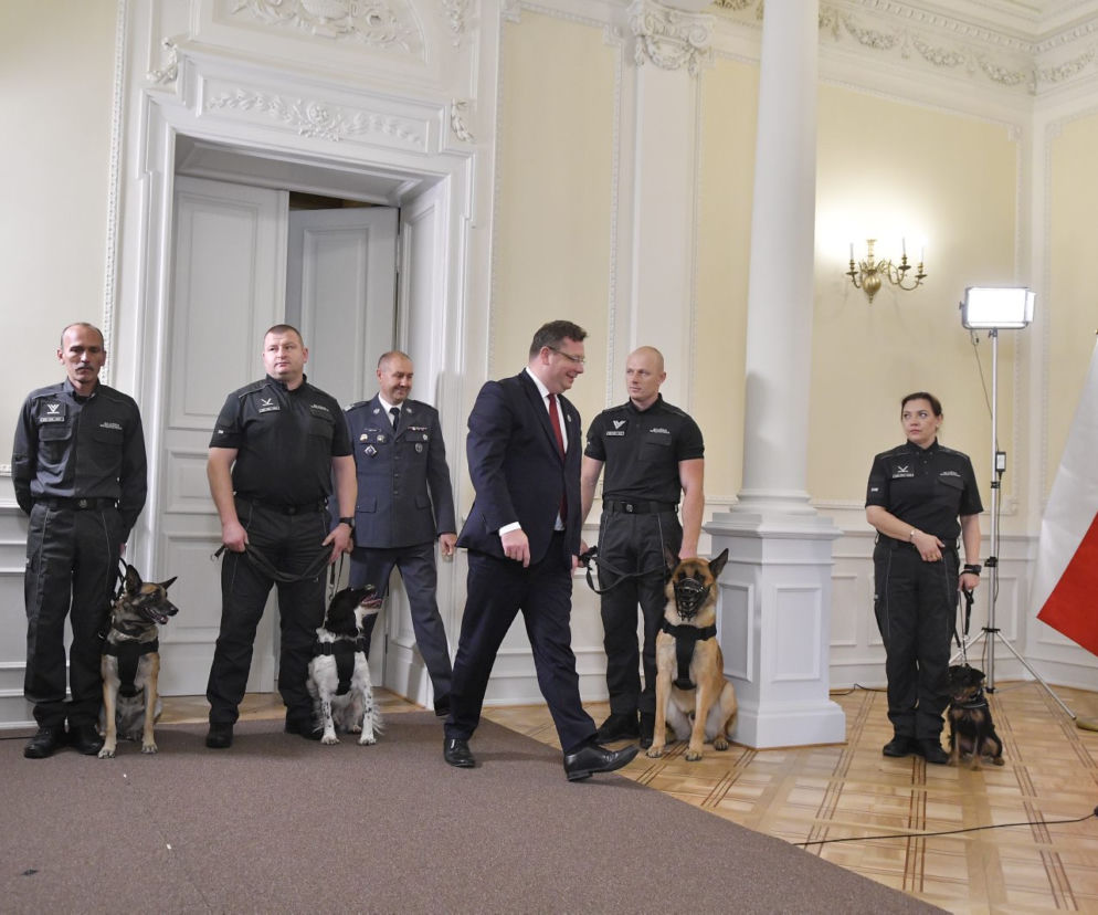 Służby więzienne z psami