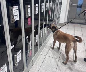 Tajga z lubelskich kontrterrorystów wróciła z międzynarodowego szkolenia