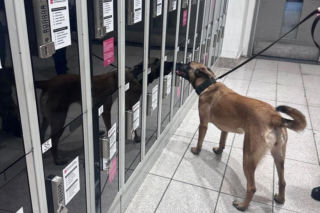 Tajga z lubelskich kontrterrorystów wróciła z międzynarodowego szkolenia