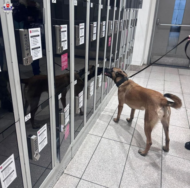 Tajga z lubelskich kontrterrorystów wróciła z międzynarodowego szkolenia