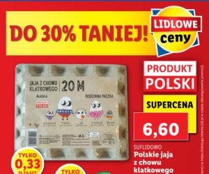 Promocje w Lidlu do środy 4.08