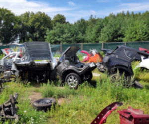 Wielka akcja policji. Samochodowy złodziej usłyszał 36 zarzutów