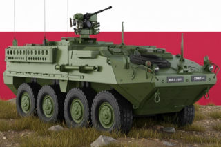 Wojsko Polskie rozważa przyjęcie 250 używanych Strykerów. Szansa na szybkie wzmocnienie czy zagrożenie dla Rosomaka?