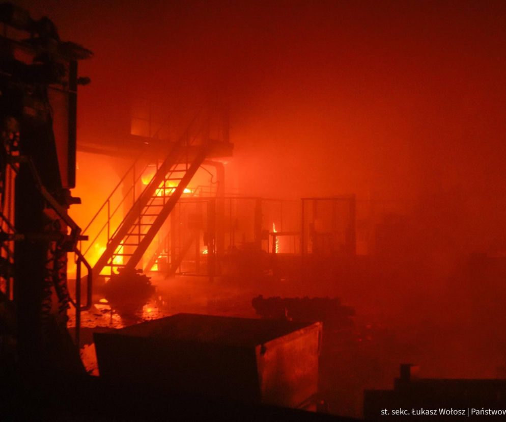Pożar hali produkcyjnej w miejscowości Aleksandria Pierwsza
