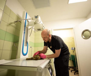 Źli ludzie odstrzelili Zbyszkowi łapę