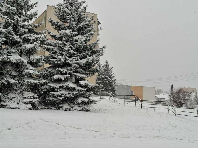 Atak zimy w Świętokrzyskiem. Śnieg i trudne warunki drogowe 23 Listopada 2025