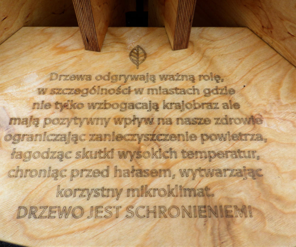 Na katowickim Rynku stanęło Drzewo Klimatyczne! [ZDJĘCIA, AUDIO]