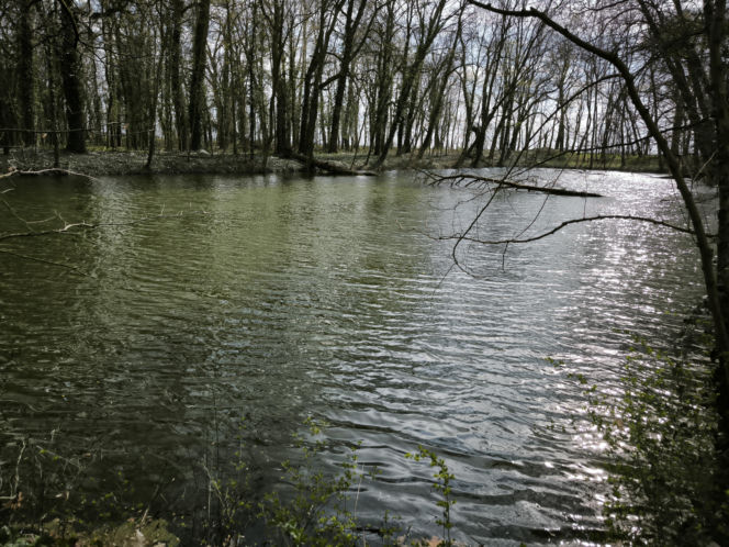 Pałac w Pawłowicach