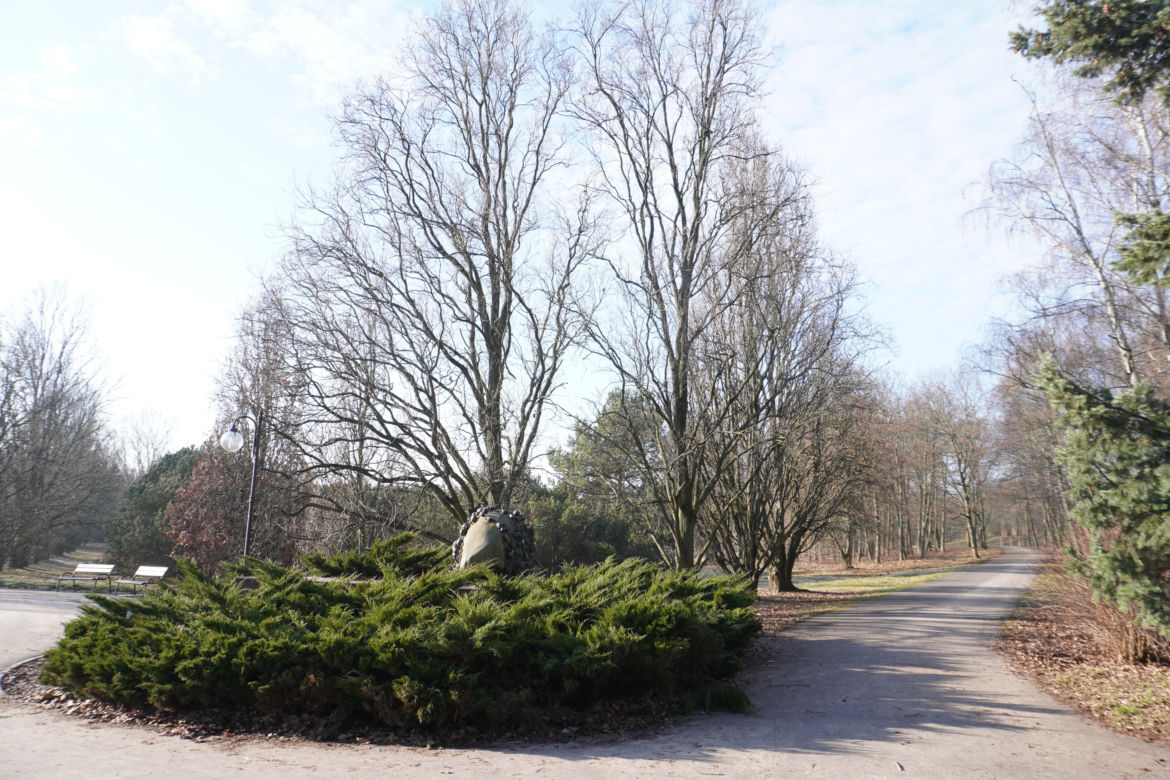2. Park Cytadela 