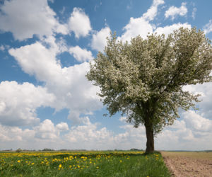 Magiczne Podlasie