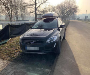 Samochody parkują na Błoniach