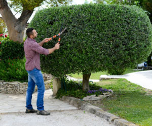 fot6_ThinkstockPhotos.jpg