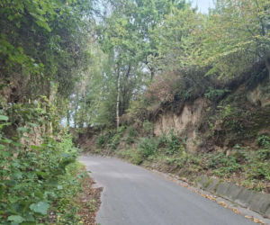 Udziców Świętokrzyskie. Wąwóz