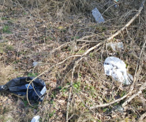 Sprzątanie na bydgoskim Miedzyniu